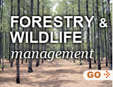 Forestry Management